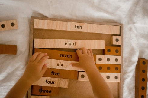 QTOYS - 2 Tone Counting Math Set